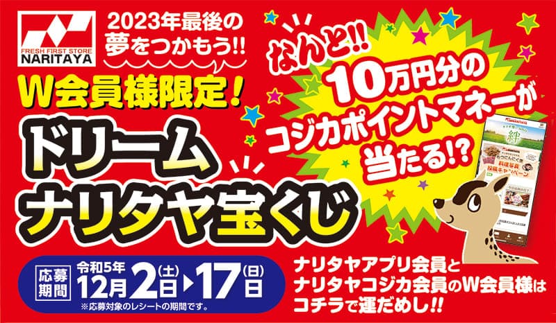 W会員様限定! 2023ナリタヤドリームナリタヤ宝くじバナー