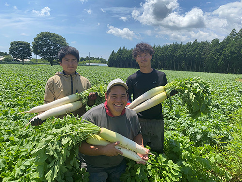 ナリタヤ農園