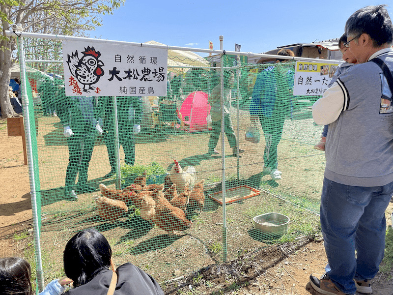 クラフトマーケットのにわとり